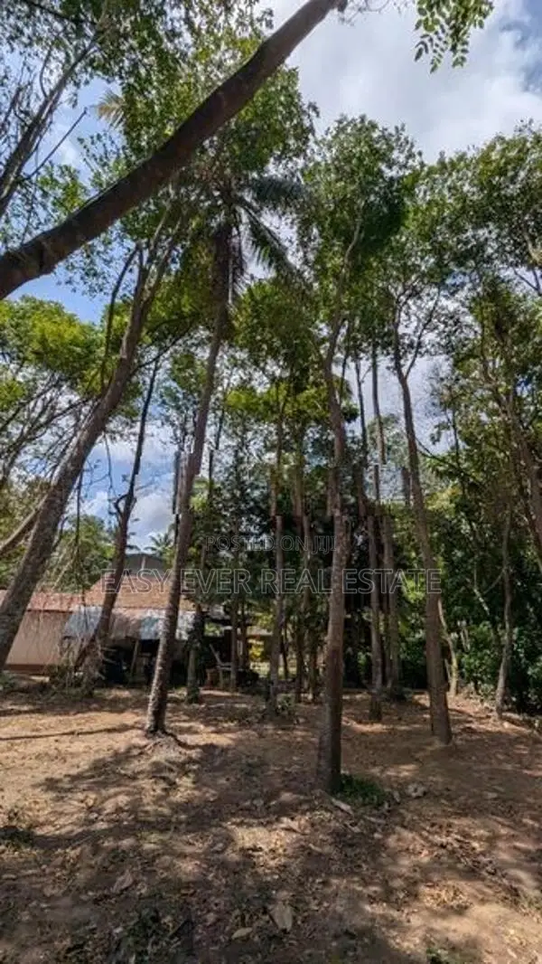 මිනුවන්ගොඩින් ඉඩමක් HS 12825
