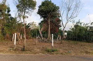 Land for Sale වාද්දූව