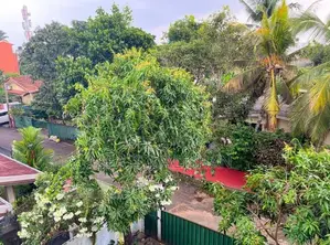 මහරගම ආසන්නව කාන්තාවන් සහ පිරිමි සඳහා නවාතැන් පහසුකම් ඇත