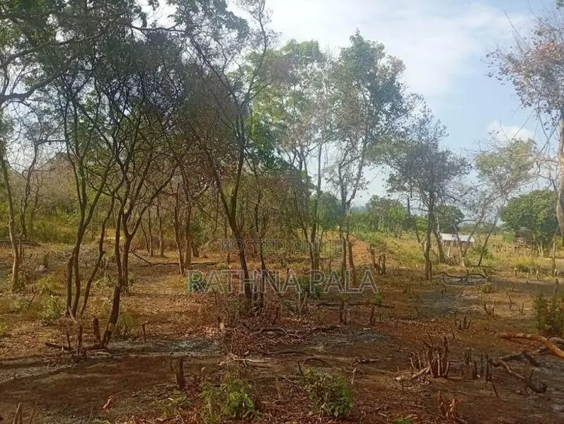 Land for Sale at Sigiriya