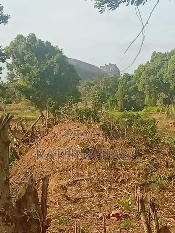 Land for Sale at Sigiriya