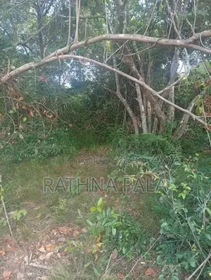 Land for Sale at Sigiriya