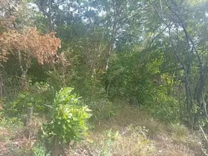 Land for Sale at Sigiriya