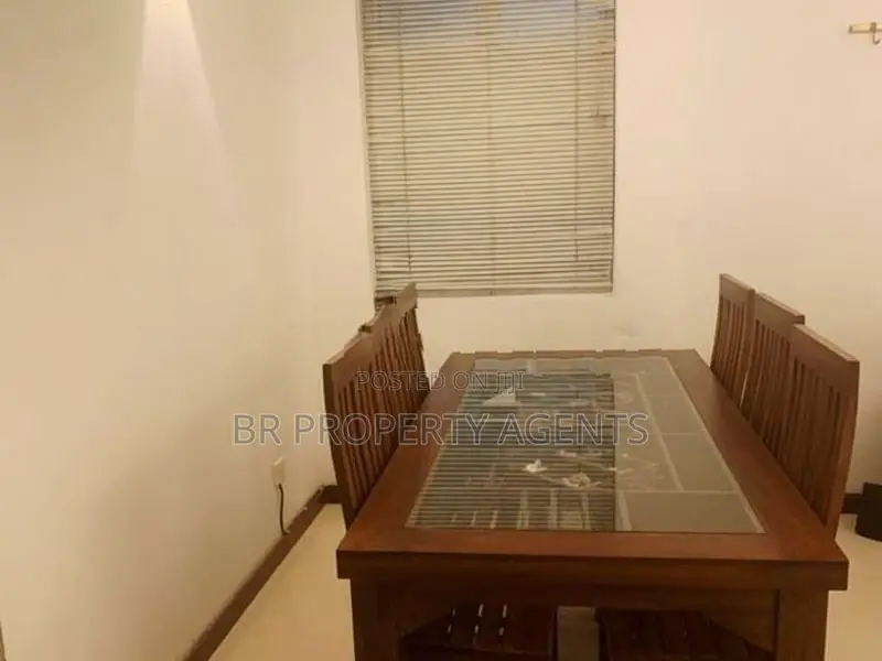 Fully Furnished Penthouse Apartment For Rent In Colombo 05