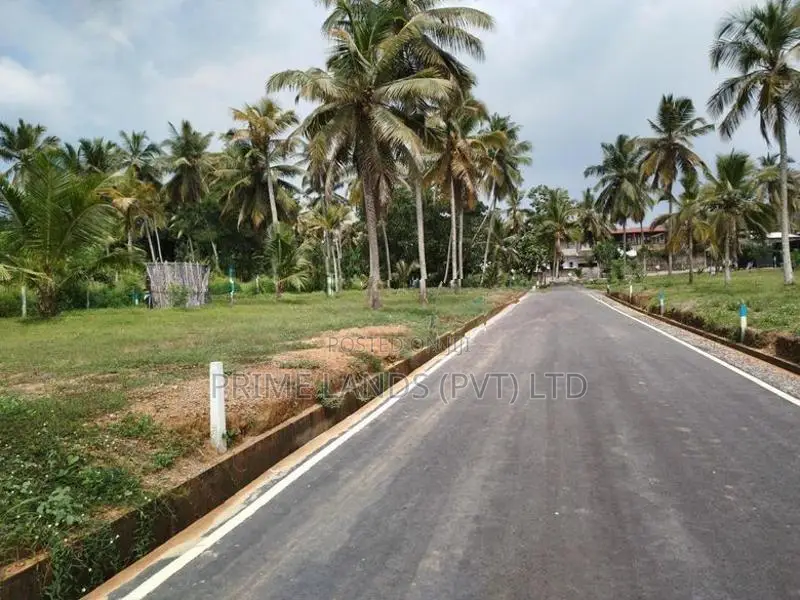 පොල්ගස්ඕවිට ජයලියගම පාරෙන් බිම් කොටස් විකිණීමට