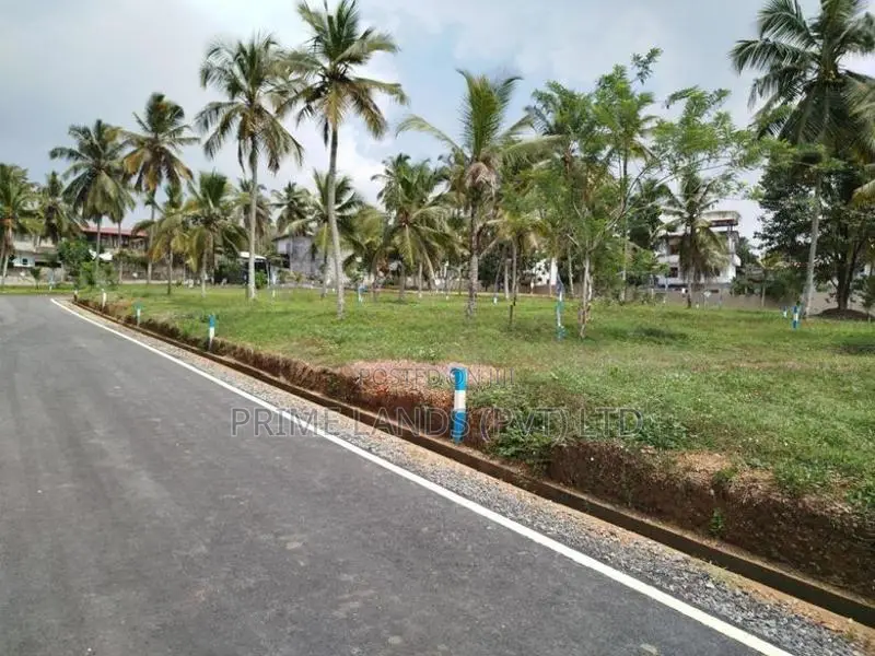 පොල්ගස්ඕවිට ජයලියගම පාරෙන් බිම් කොටස් විකිණීමට