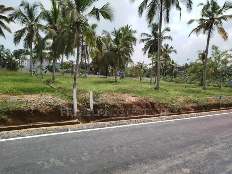 පොල්ගස්ඕවිට ජයලියගම පාරෙන් බිම් කොටස් විකිණීමට
