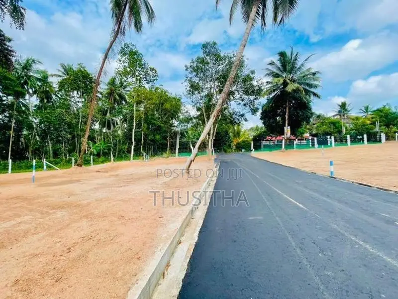 යක්කල කලගෙඩිහේන අවටින් හොද බිම් කොටසක්