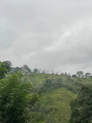 Land for sale