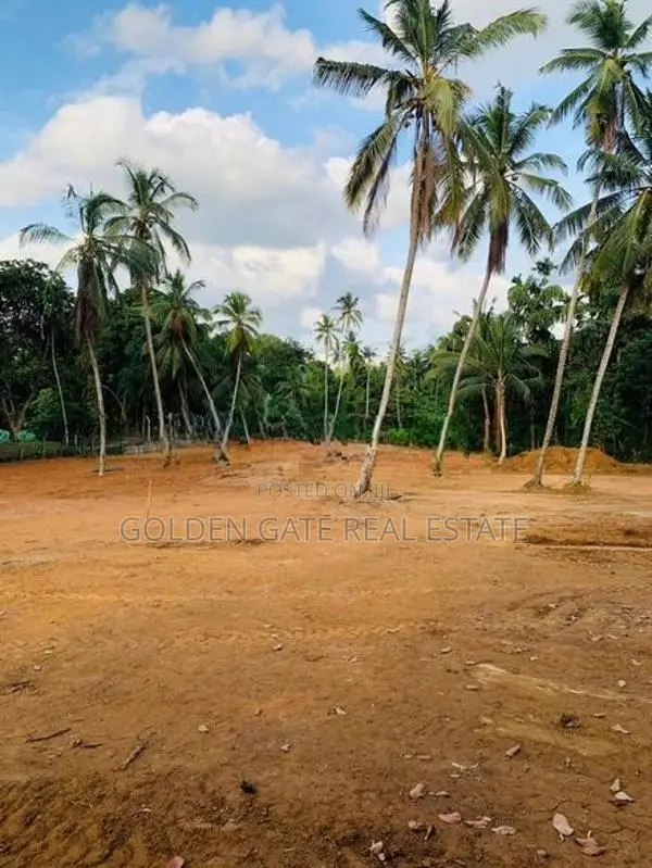Valuable Land Plots for Sale in Yakkala, Gampaha