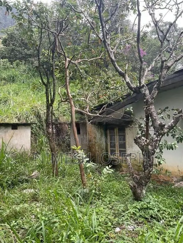 Land for sale