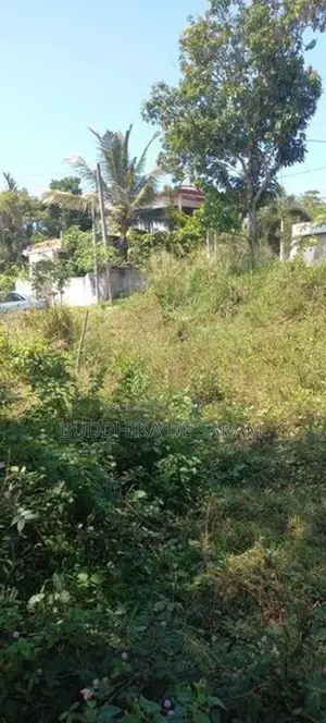 Commercial Land for Rent in Kirillawala