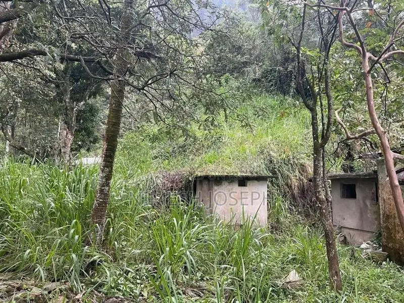 Land for sale