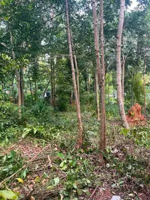 Prime Valuable Land for Sale – Mawanella, Kegalle