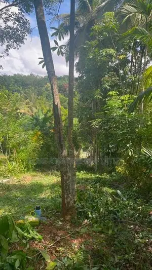 Prime Valuable Land for Sale – Mawanella, Kegalle