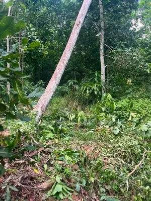 Prime Valuable Land for Sale – Mawanella, Kegalle