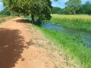 Paddy Field Land for Sale Dambulla