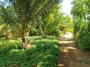 Paddy Field Land for Sale Dambulla
