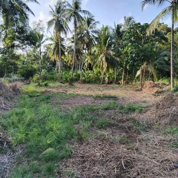 Land for Sale in Mirigama
