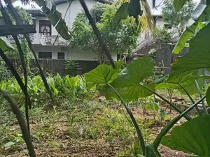 Ideal Land for Sale Talawathugoda