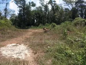 Prime Commercial Land for Sale – Panadura, Hirana Road