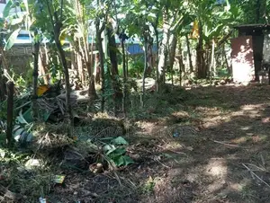 Prime Land for Sale in Panadura