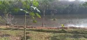 Prime Riverside Land for Sale – Bandaragama