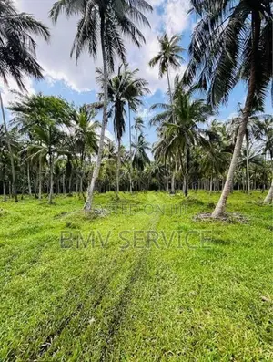 Land For Sale - Mawiela Kuliyapitiya
