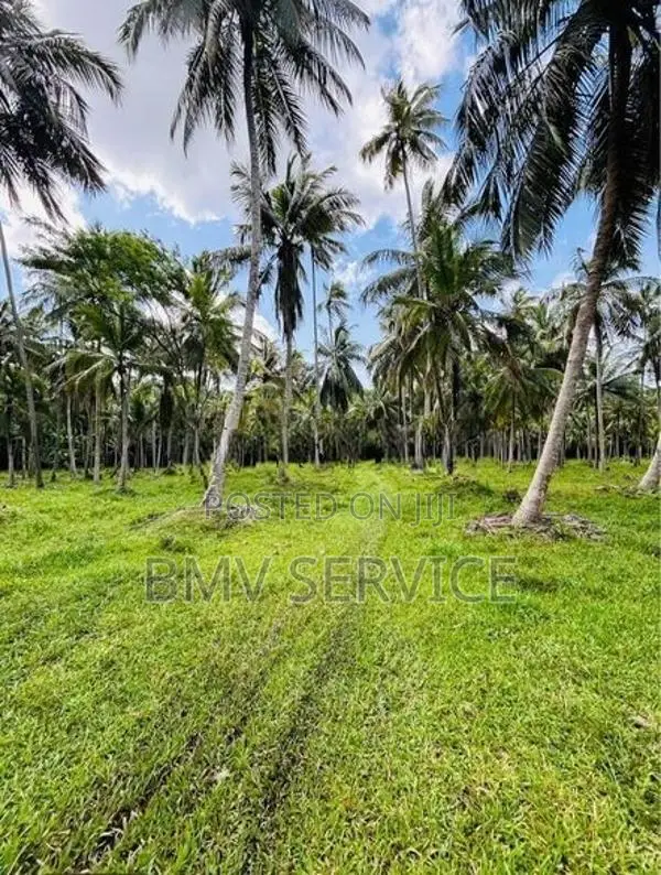 Land For Sale - Mawiela Kuliyapitiya
