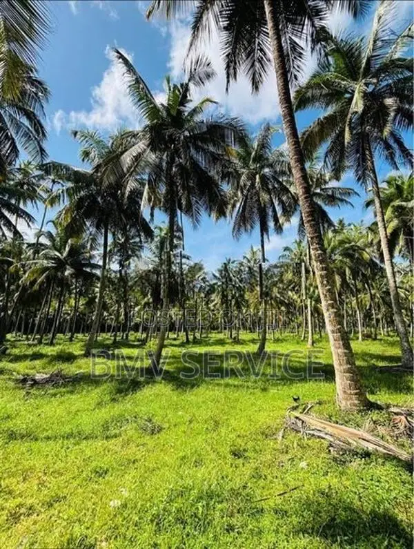 Land For Sale - Mawiela Kuliyapitiya