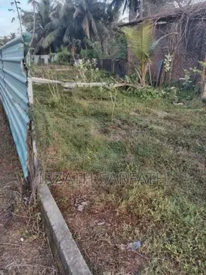 Sainthamaruthu Land Sale