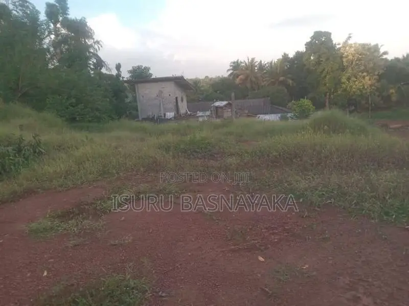 60 Perches Bare Land for Sale in Kottawa