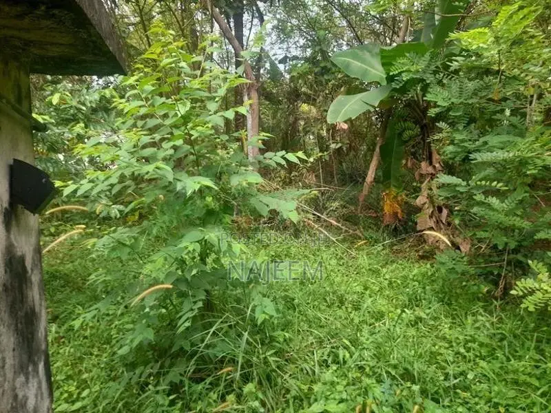 Land for Sale Kalutara