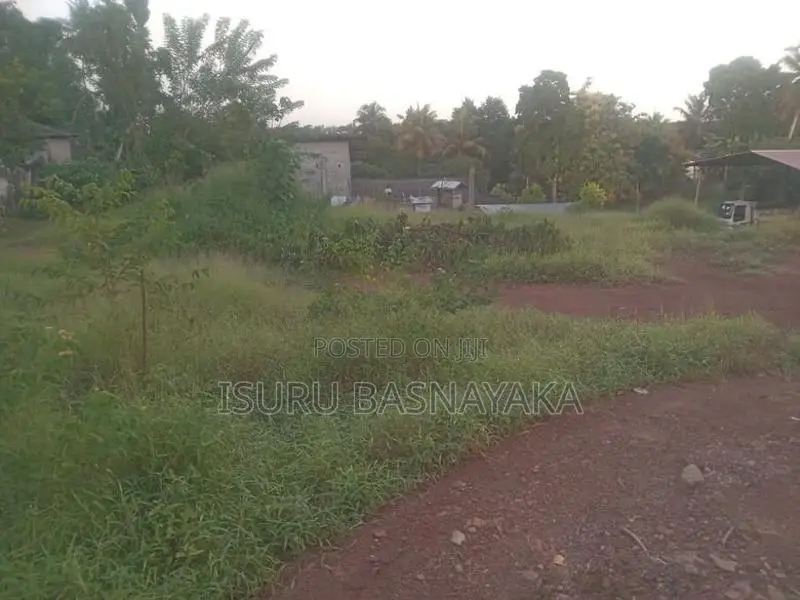 60 Perches Bare Land for Sale in Kottawa