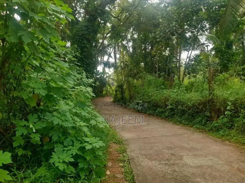 Land for Sale Kalutara