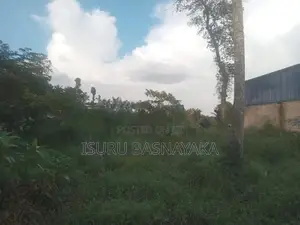 60 Perches Bare Land for Sale in Kottawa