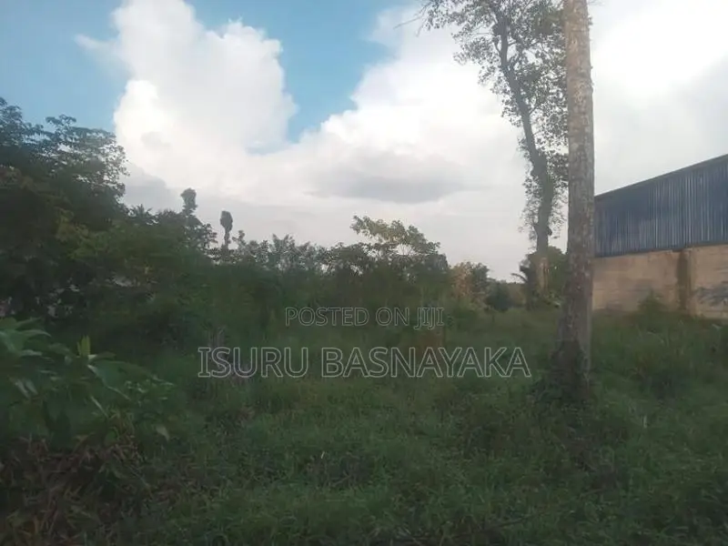 60 Perches Bare Land for Sale in Kottawa