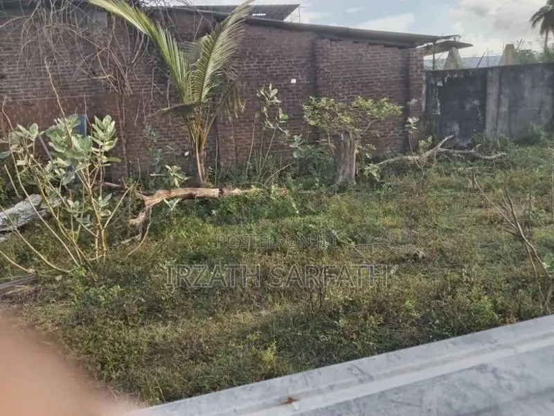 Sainthamaruthu Land Sale