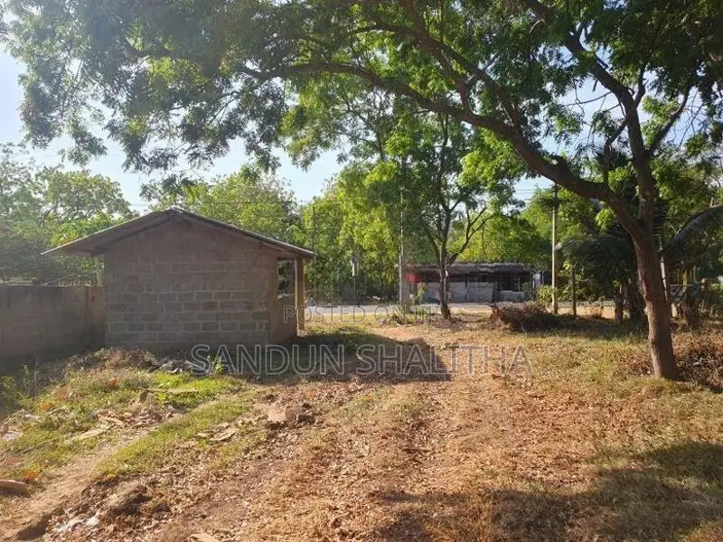 Land for Sale Kataragama