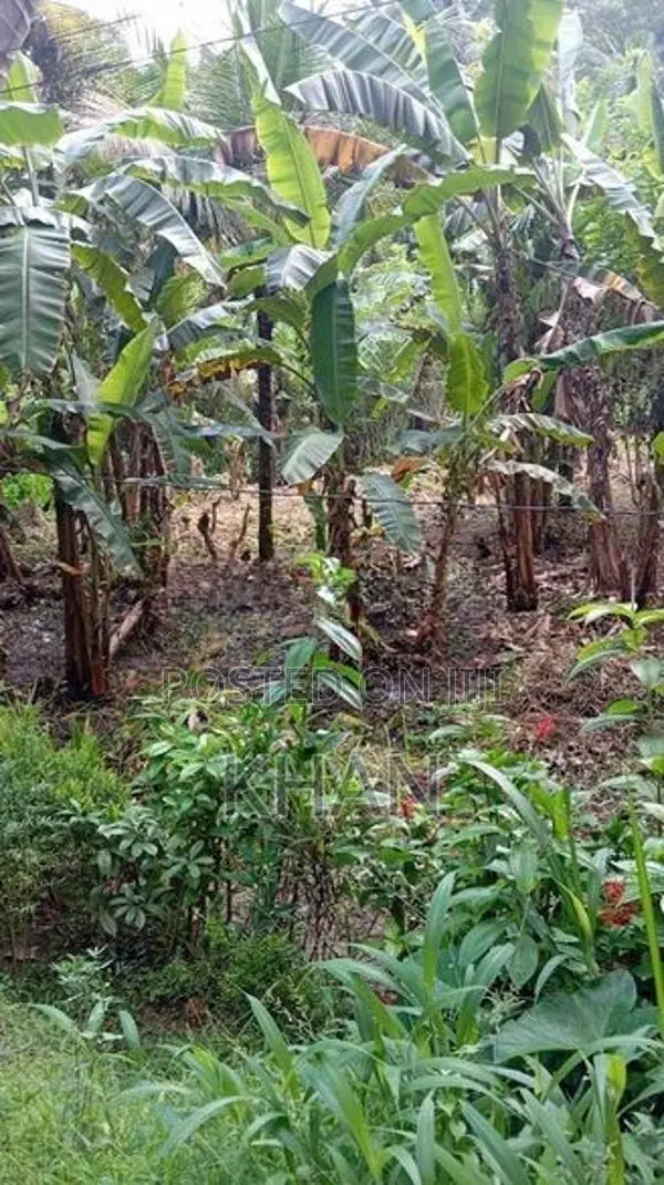 Land for Sale Mawilmada