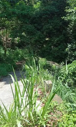Land for Sale Kandy