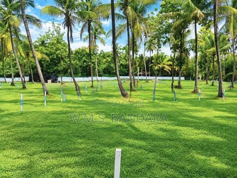 Valuable Land for Sale in Melsiripura S