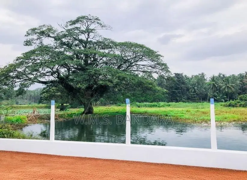 Land for Sale in Melsiripura M03