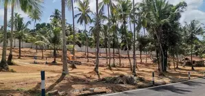 Land for Sale Kadana