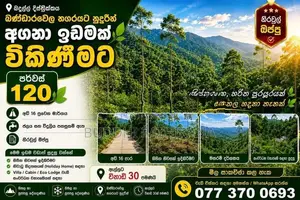 120 Perch Valuable Land for Sale Near Bandarawela Town