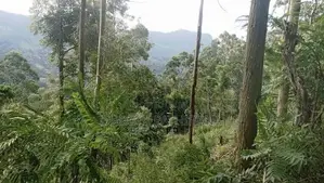120 Perch Valuable Land for Sale Near Bandarawela Town