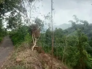 120 Perch Valuable Land for Sale Near Bandarawela Town