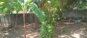 Land for Sale in Colombo 09