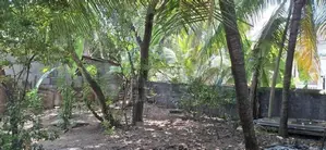 Land for Sale in Colombo 09
