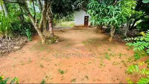 Land for Sale Facing Ethabediwewa Road, Galewela